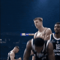 Euroleague Basketball Tyrique Jones GIF by Basketball Club Partizan