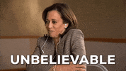 Election 2020 Reaction GIF by Joe Biden