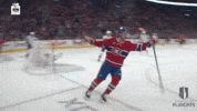 Happy Stanley Cup Playoffs GIF by NHL