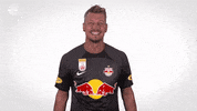 Red Bull Sport GIF by FC Red Bull Salzburg