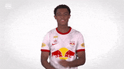 Red Bull Dance GIF by FC Red Bull Salzburg
