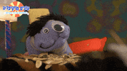 socks wikisocks GIF by Garbaim