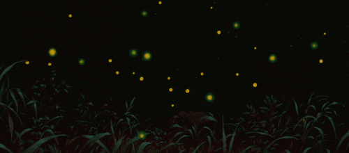 fireflies GIF