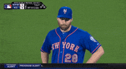 Fail World Series GIF by WNYC