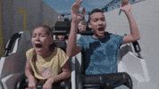 Rollercoaster Attraction GIF by Futuroscope