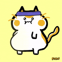 Cat Workout GIF by Poku Meow