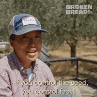 Roy Choi Chef GIF by kcet