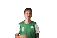 Football Dust Off Sticker by FORTUNA:LIGA