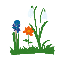 Spring Wind Sticker
