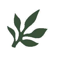 Skincare Waxing Sticker by The Pink Canoe Studio