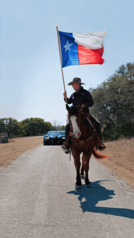 theexoticsnetwork giphyupload horse texas ten GIF