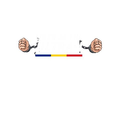 UltrasInPeluze football romania fotbal ultras Sticker
