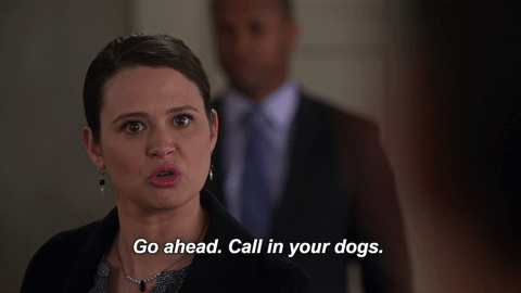 katie lowes scandal GIF by ABC Network