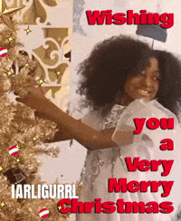Merry Christmas Holiday Season GIF by Charli Gurl
