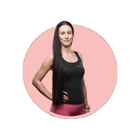 flyingballerina giphygifmaker poledancer poledancing poledancestudio Sticker