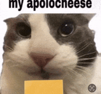 Sorry Apology GIF