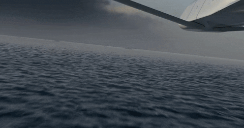 giphygifgrabber GIF