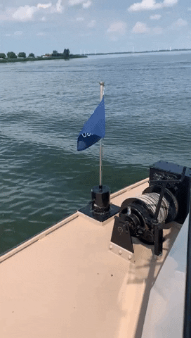 BlueAmigo giphyupload GIF