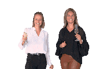 vanschuppenmakelaars cheers confetti proost vsm Sticker