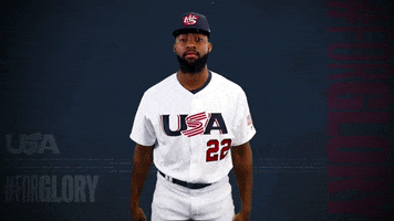Pro GIF by USA Baseball