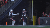 Football Celebration GIF by New England Patriots