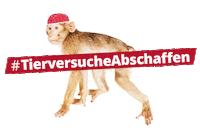 aerztegegentierversuche vegan crueltyfree tierschutz affe Sticker
