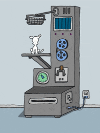 chippythedog  GIF