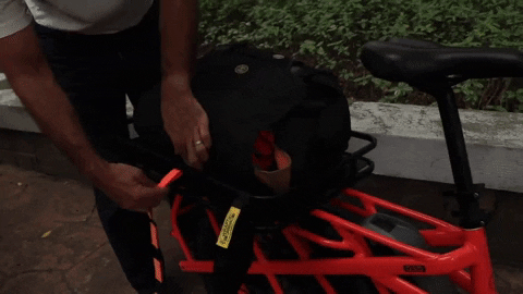 JasAlfa giphygifmaker GIF