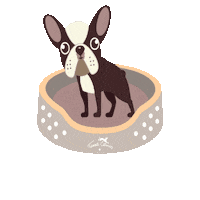 French Bulldog Turkey Sticker by Terra Canis