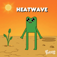 Stay Hydrated Heat Wave GIF by fwogs