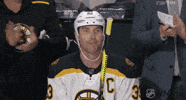 Waving Ice Hockey GIF by NHL