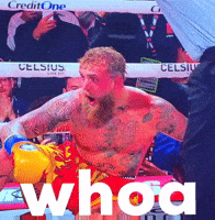 Jake Paul Wow GIF