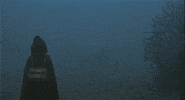 federico fellini GIF by Maudit
