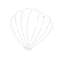 Shell Muschel Sticker