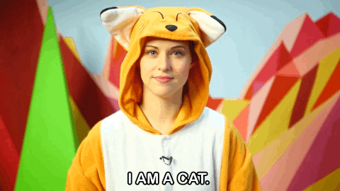 im a cat GIF by POLARIS by MAKER