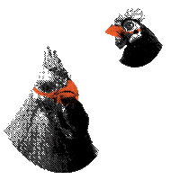 Fields Good Chicken Safety Sticker by Nicole