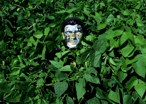 tchagomartins giphyupload art design hair GIF