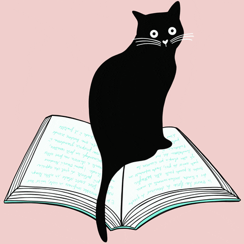 Read Black Cat GIF