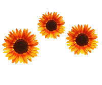 Flores Freud Sticker by psicanartes