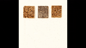 ethelsbaking dessert turtle desserts dandy GIF