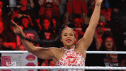 Wwe Wrestling GIF by USA Network