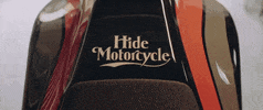 H-D Sport GIF by Harley-Davidson