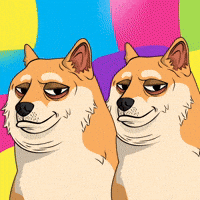 Suspicious Shiba Inu GIF by Doge Pound