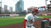 St Louis Yes GIF by Jomboy Media