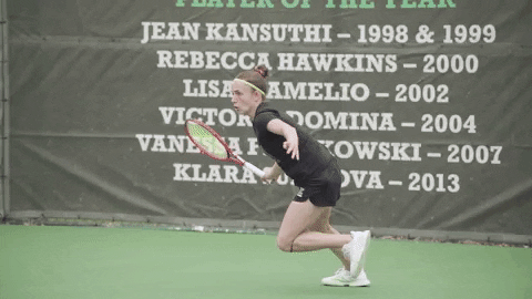 Slide Save GIF by EMU Athletics