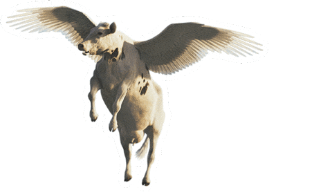 Cow Vaca Sticker by Leite Larsa