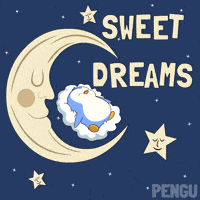 GIF by Pudgy Penguins