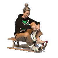 carlosteveringfotografie winter achterhoek vlag koud Sticker