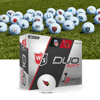 Nfl Wilsonstaff GIF by Wilson Golf
