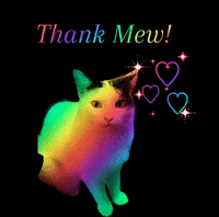 Cat Thank You GIF